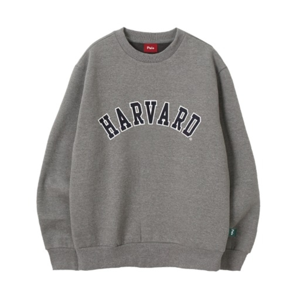 Harvard arch logo sweatshirt._PA5TSU805DG